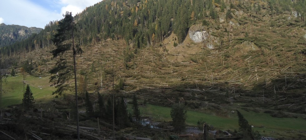 La furia del maltempo costringe l'Oasi WWF di Valtrigona a chiudere